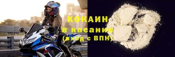 шишки Нея