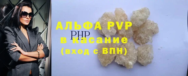 шишки Нея