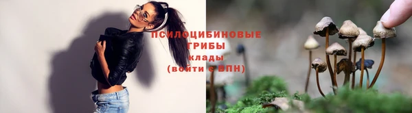 герыч Новодвинск