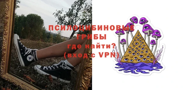 шишки Нея