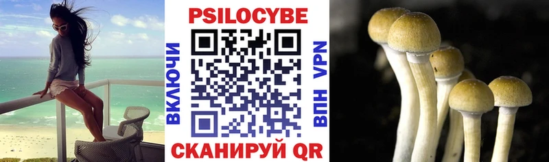 гидра как зайти  Змеиногорск  Галлюциногенные грибы Psilocybe  где купить наркотик 